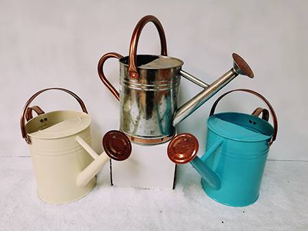 Doiron's - Assorted Watering Cans