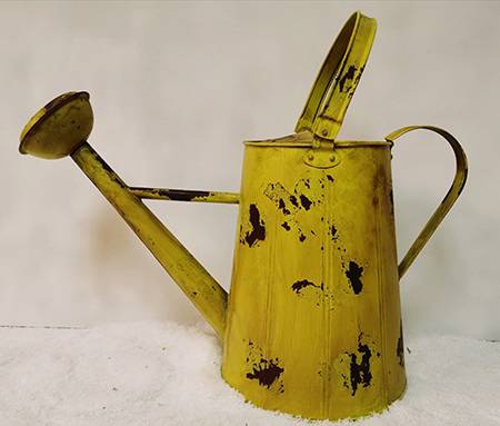 Doiron's - Distressed Watering Can